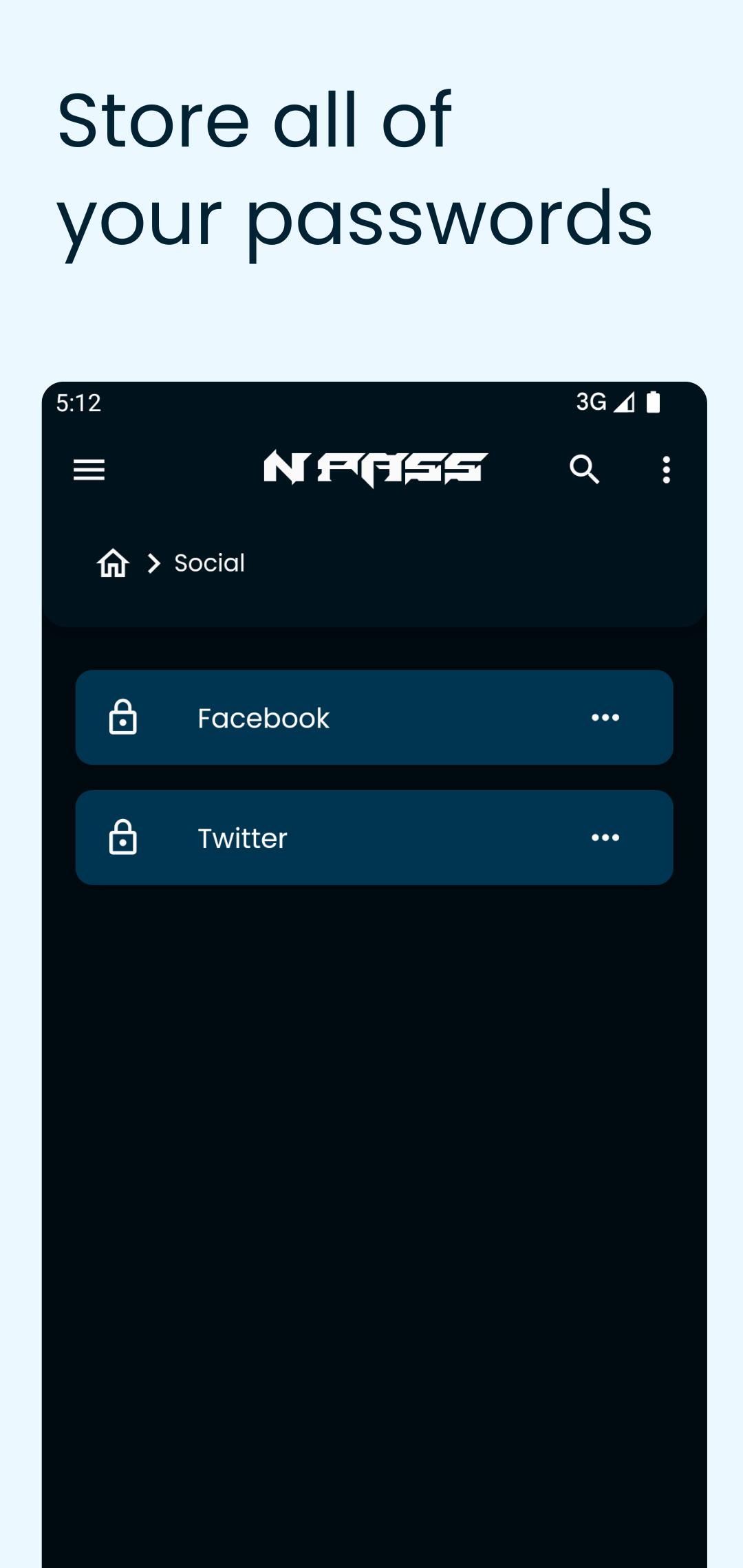 Store all your passwords
